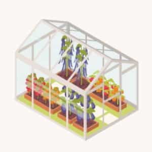 serre da giardino