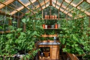tipologia di serre da giardino