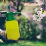 L'utilizzo del fitofarmaco