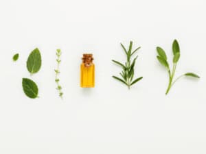 Rimedi naturali contro le formiche