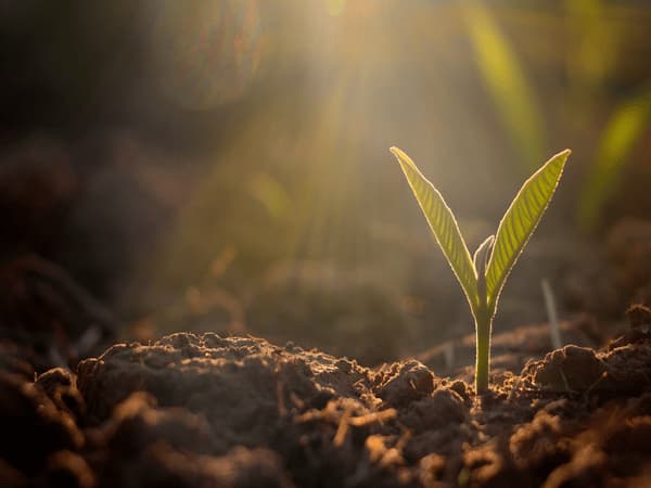 Agricoltura Sinergica