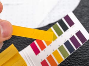 cartine tornasole ph