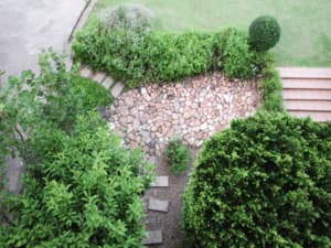 food forest project