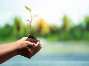 significato di agricoltura sostenibile