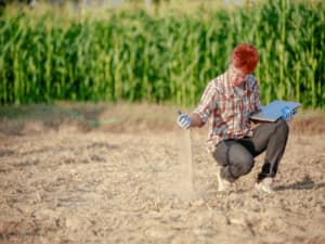 solarizzazione terreno