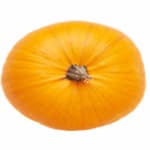 Quando piantare la zucca