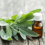 benefici della salvia