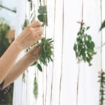 come abbellire un giardino