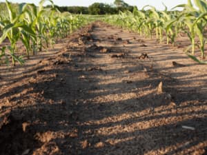 come prevenire l'erosione del suolo agricolo