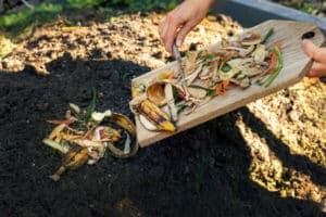 come si fa il compostaggio domestico come si fa il compostaggio domestico