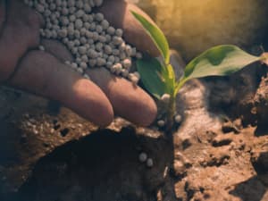 concimazioni invernali concimazioni invernali