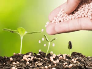 concimi biostimolanti concimi biostimolanti