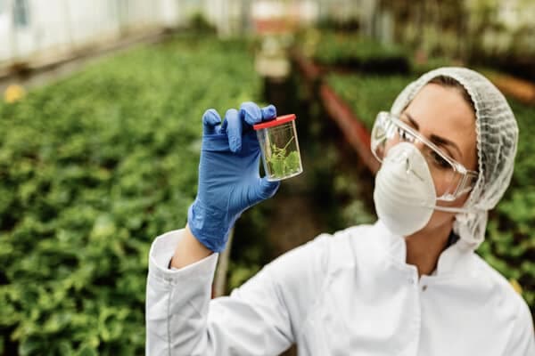 Consulenza Agronomo Roma