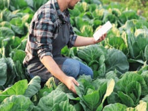 cos'è l'agricoltura sostenibile