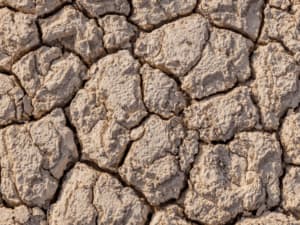 erosione del suolo agricolo
