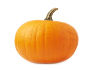 pianta di zucca pianta di zucca