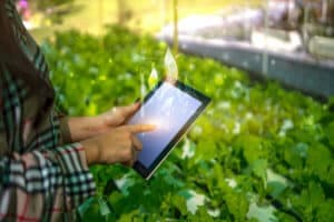 servizi di cosulenza agronomica servizi di cosulenza agronomica