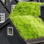 tetto verde