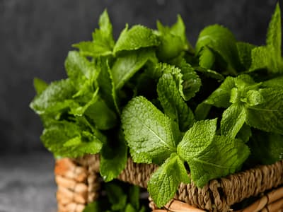 benefici della menta