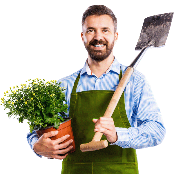 Giardinaggio a Roma