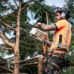 tecnica di tree climbing