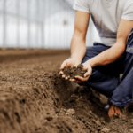 Livellamento del Terreno Roma