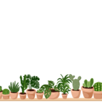 piante da giardino sempreverdi