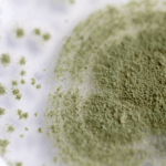 Alternaria