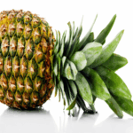 Pianta di ananas