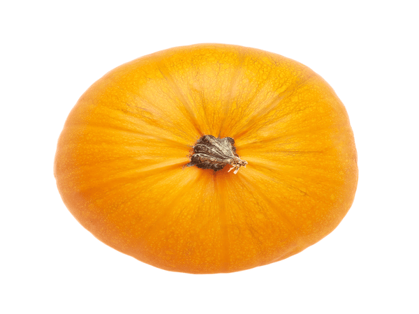 Quando piantare la zucca