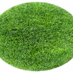 cerchio delle streghe