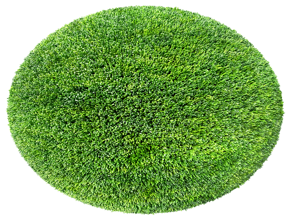 cerchio delle streghe