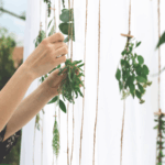 come abbellire un giardino