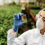 Consulenza Agronomo Roma